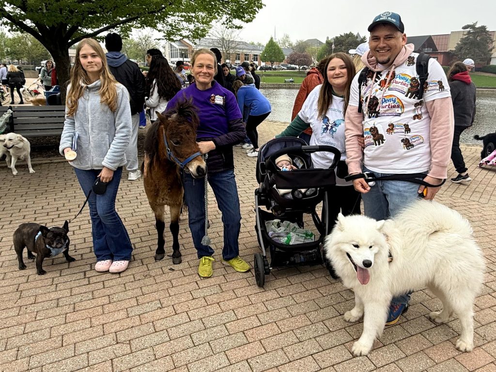 Cocoa the pony at a walk for a dog rescue